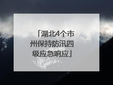 湖北4个市州保持防汛四级应急响应