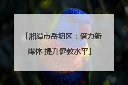 湘潭市岳塘区：借力新媒体 提升健教水平