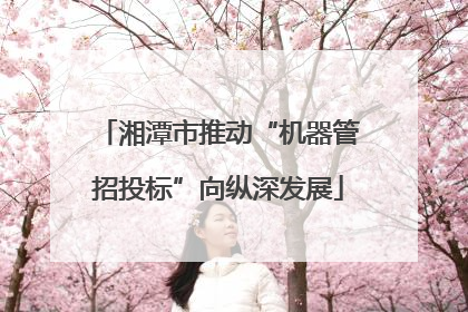 湘潭市推动“机器管招投标”向纵深发展