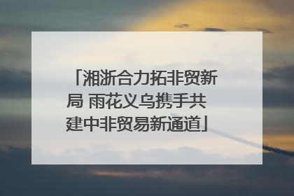 湘浙合力拓非贸新局 雨花义乌携手共建中非贸易新通道