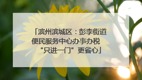 滨州滨城区：彭李街道便民服务中心办事办税 “只进一门”更省心