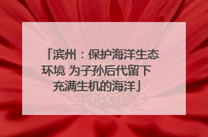 滨州：保护海洋生态环境 为子孙后代留下充满生机的海洋