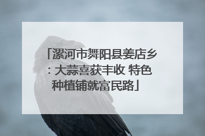 漯河市舞阳县姜店乡：大蒜喜获丰收 特色种植铺就富民路
