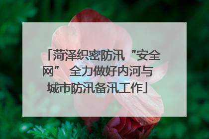 菏泽织密防汛“安全网” 全力做好内河与城市防汛备汛工作