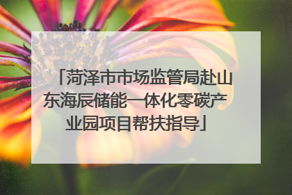 菏泽市市场监管局赴山东海辰储能一体化零碳产业园项目帮扶指导