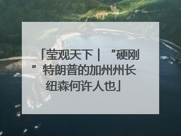 莹观天下｜“硬刚”特朗普的加州州长纽森何许人也