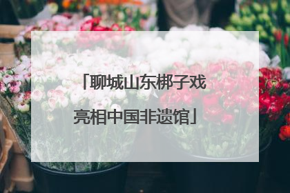 聊城山东梆子戏亮相中国非遗馆