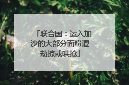 联合国：运入加沙的大部分面粉遭劫掠或哄抢