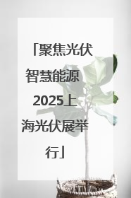 聚焦光伏智慧能源 2025上海光伏展举行