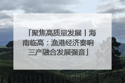 聚焦高质量发展丨海南临高：渔港经济奏响三产融合发展强音