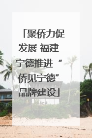 聚侨力促发展 福建宁德推进“侨见宁德”品牌建设
