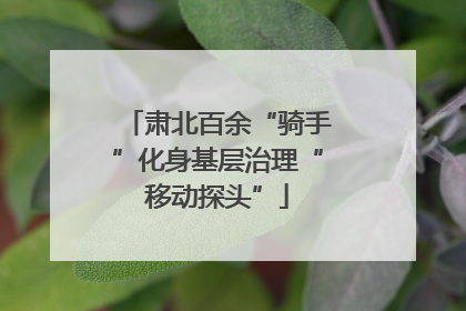 肃北百余“骑手”化身基层治理“移动探头”