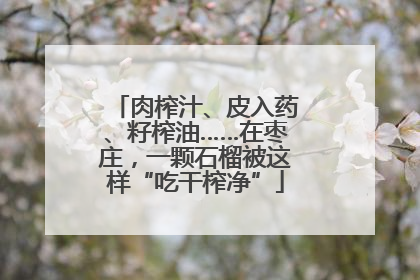 肉榨汁、皮入药、籽榨油……在枣庄，一颗石榴被这样“吃干榨净”