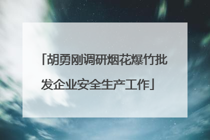 胡勇刚调研烟花爆竹批发企业安全生产工作