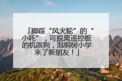 脚踩“风火轮”的“小吒”，可脱离遥控板的机器狗，泡桐树小学来了新朋友！