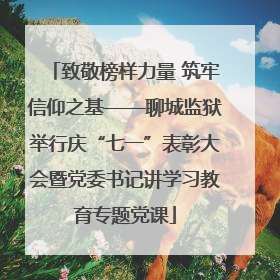 致敬榜样力量 筑牢信仰之基——聊城监狱举行庆“七一”表彰大会暨党委书记讲学习教育专题党课
