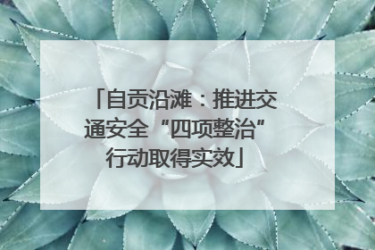自贡沿滩：推进交通安全“四项整治”行动取得实效