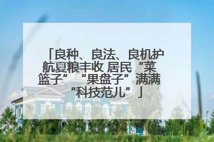 良种、良法、良机护航夏粮丰收 居民“菜篮子”“果盘子”满满“科技范儿”