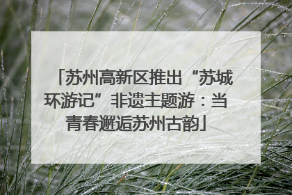 苏州高新区推出“苏城环游记”非遗主题游：当青春邂逅苏州古韵