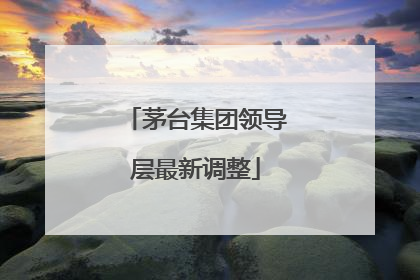 茅台集团领导层最新调整