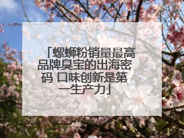 螺蛳粉销量最高品牌臭宝的出海密码 口味创新是第一生产力