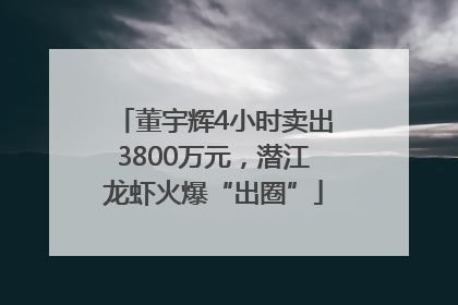 董宇辉4小时卖出3800万元，潜江龙虾火爆“出圈”