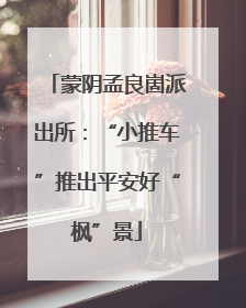 蒙阴孟良崮派出所：“小推车”推出平安好“枫”景