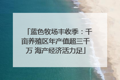 蓝色牧场丰收季：千亩养殖区年产值超三千万 海产经济活力足