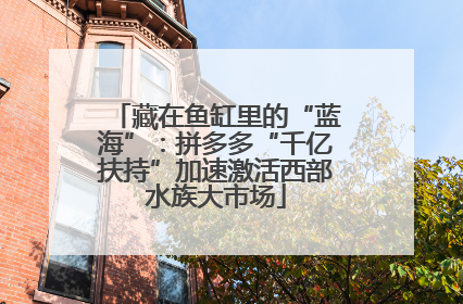 藏在鱼缸里的“蓝海”：拼多多“千亿扶持”加速激活西部水族大市场