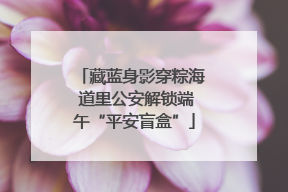 藏蓝身影穿粽海 道里公安解锁端午“平安盲盒”