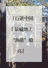 行进中国丨盐碱地上“渔歌”嘹亮