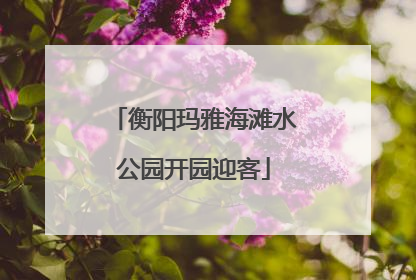 衡阳玛雅海滩水公园开园迎客