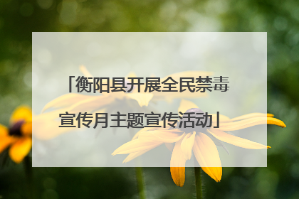 衡阳县开展全民禁毒宣传月主题宣传活动