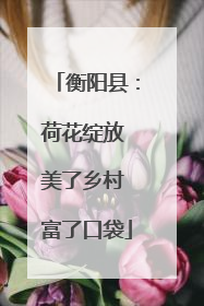 衡阳县：荷花绽放 美了乡村 富了口袋