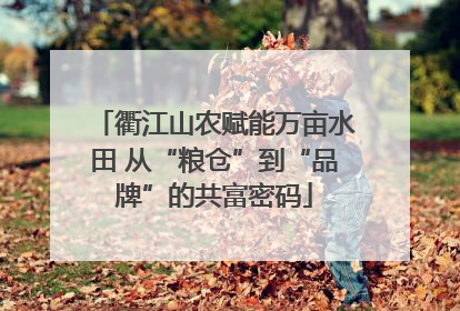 衢江山农赋能万亩水田 从“粮仓”到“品牌”的共富密码