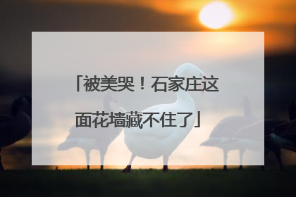 被美哭！石家庄这面花墙藏不住了
