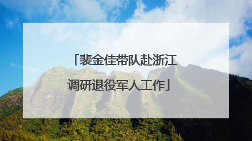 裴金佳带队赴浙江调研退役军人工作