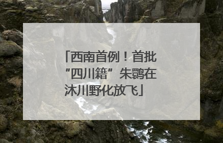 西南首例！首批“四川籍”朱鹮在沐川野化放飞