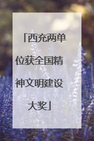 西充两单位获全国精神文明建设大奖