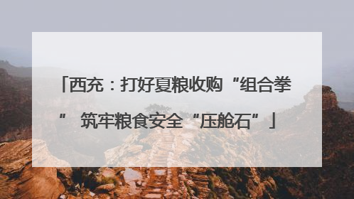 西充：打好夏粮收购“组合拳” 筑牢粮食安全“压舱石”