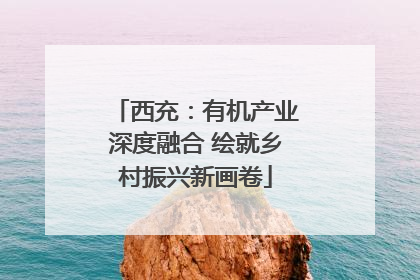 西充：有机产业深度融合 绘就乡村振兴新画卷