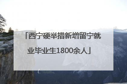 西宁硬举措新增留宁就业毕业生1800余人
