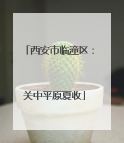 西安市临潼区：关中平原夏收