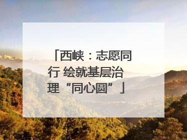 西峡：志愿同行 绘就基层治理“同心圆”
