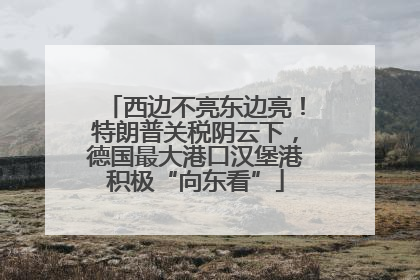西边不亮东边亮！特朗普关税阴云下，德国最大港口汉堡港积极“向东看”