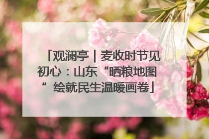 观澜亭｜麦收时节见初心：山东“晒粮地图”绘就民生温暖画卷