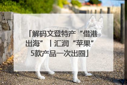 解码文登特产“借港出海”丨汇润“苹果”5款产品一次出圈