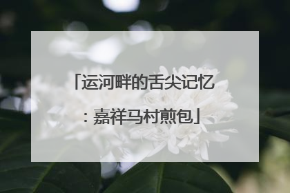运河畔的舌尖记忆：嘉祥马村煎包