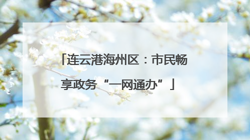 连云港海州区：市民畅享政务“一网通办”