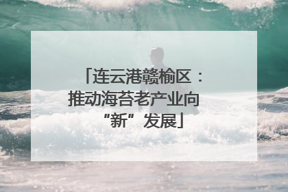 连云港赣榆区：推动海苔老产业向“新”发展